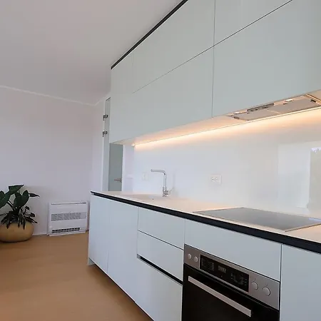 Apartman New With Swimming Pool Near The